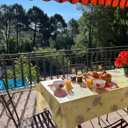 Le Chant Des Pins En Cevennes Frühstückspension Le Collet-de-Dèze