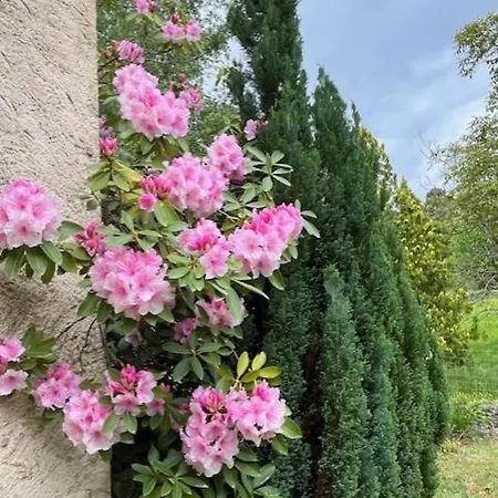 Frühstückspension Le Chant Des Pins En Cevennes 3*